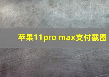 苹果11pro max支付截图